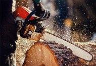 The Best Logging Boots | Expert Guide to Buying Logger Boots